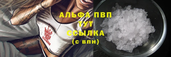 spice Новодвинск