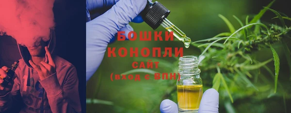 spice Новодвинск