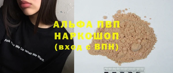 spice Новодвинск