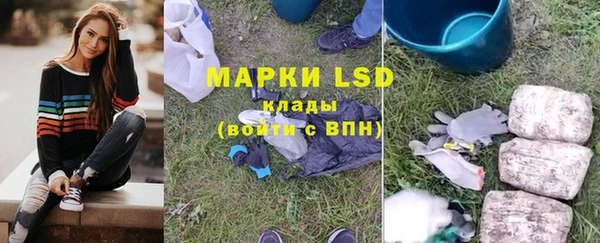 spice Новодвинск
