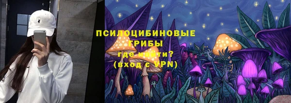 spice Нязепетровск