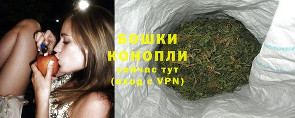 spice Нязепетровск