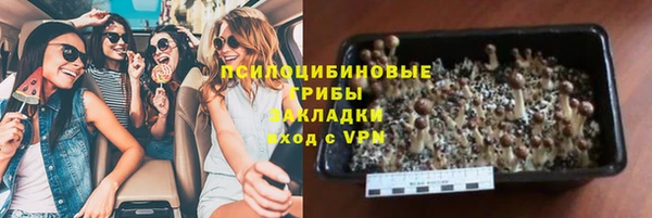 spice Нязепетровск