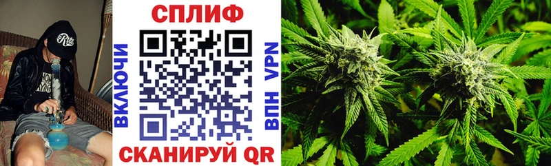 Бошки Шишки тримм  как найти наркотики  Кувшиново 